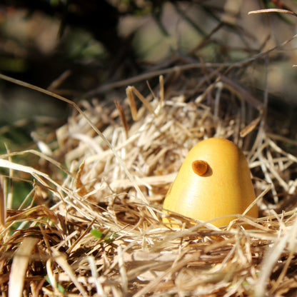 Baby Chicks