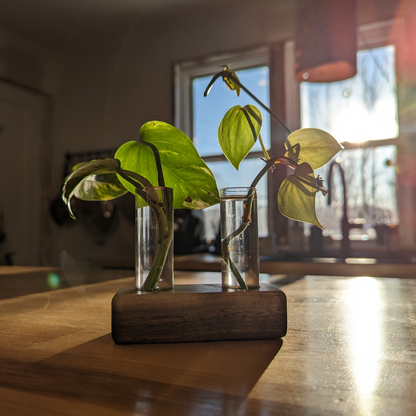 Propagation Station with Wooden Vial Holder