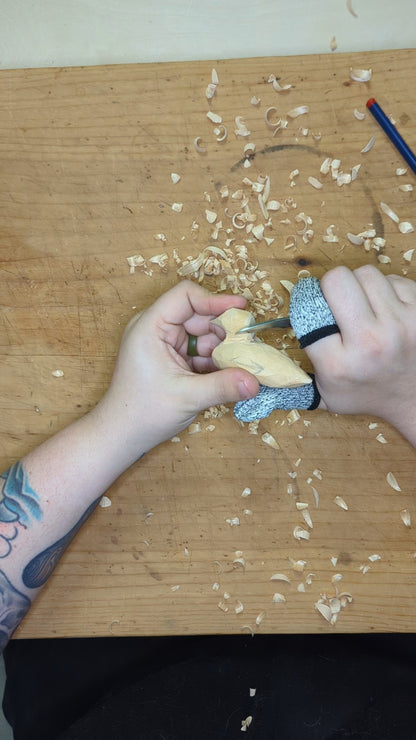 Carve Your Own Wooden Loon at Stardust