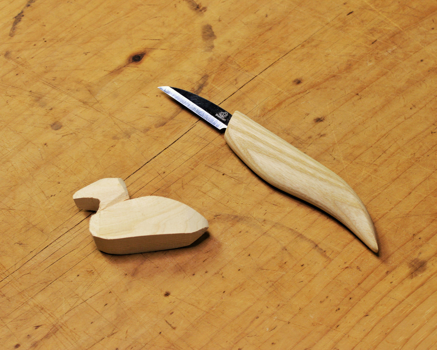 Carve Your Own Wooden Loon at Stardust