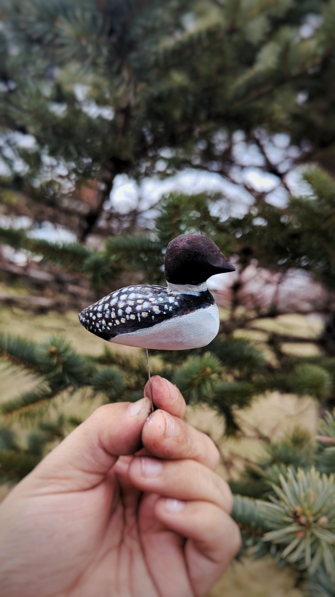 Carve Your Own Wooden Loon at Stardust